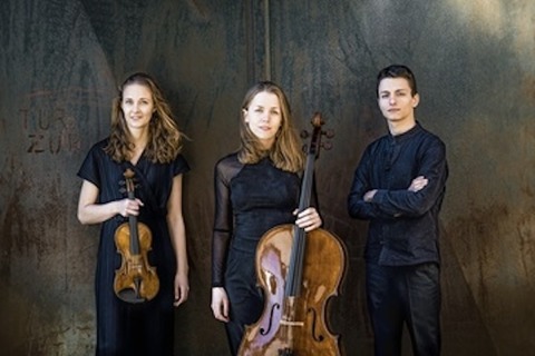 4. Aulakonzert: Amelio Trio - Gttingen - 15.02.2026 19:00