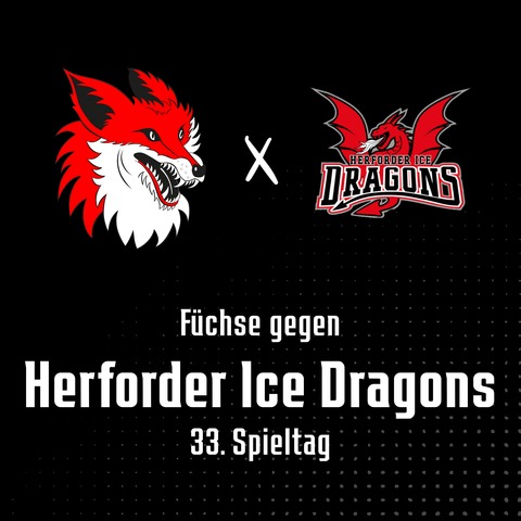 33. Spieltag: F�chse Duisburg - Herford Dragons - Duisburg - 30.12.2025 19:30