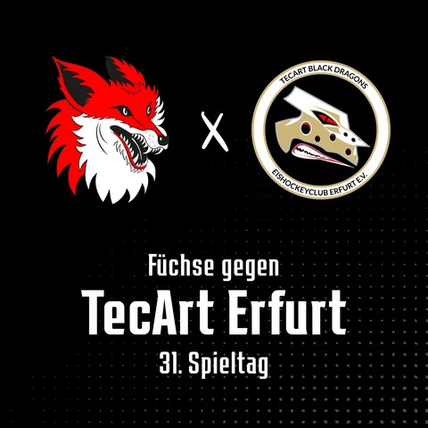 31. Spieltag: F�chse Duisburg - TecArt Erfurt - Duisburg - 26.12.2025 19:30