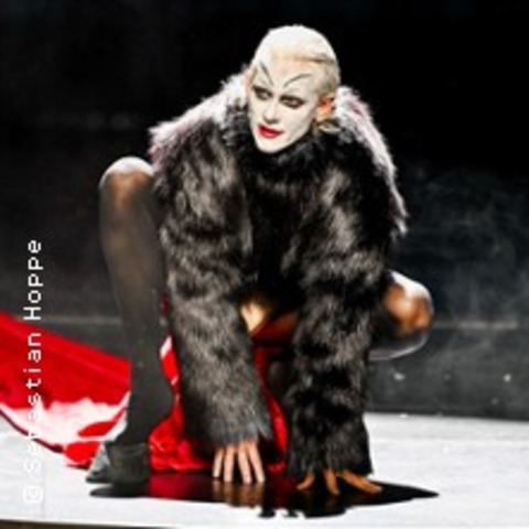 Mephisto - DRESDEN - 15.09.2025 19:30