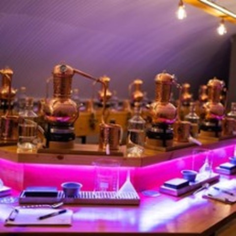 Gin Brennkurs - FRANKFURT AM MAIN - 15.05.2026 19:00