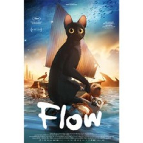 Flow -  - 19.12.2025 20:15