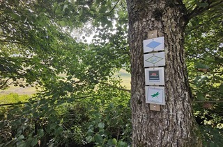 Sankenbachsteig