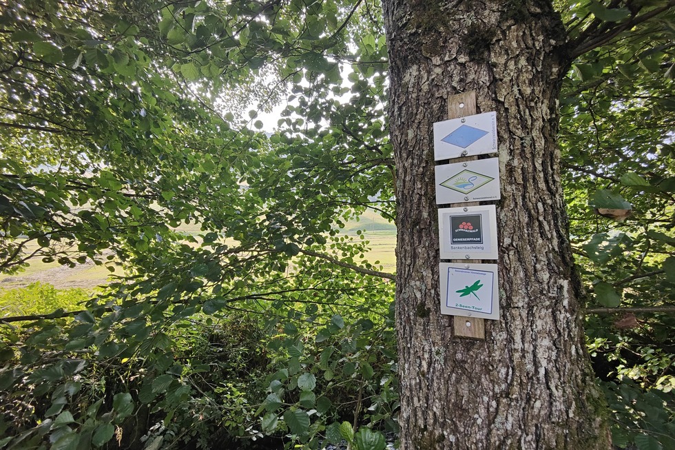 Sankenbachsteig - Baiersbronn