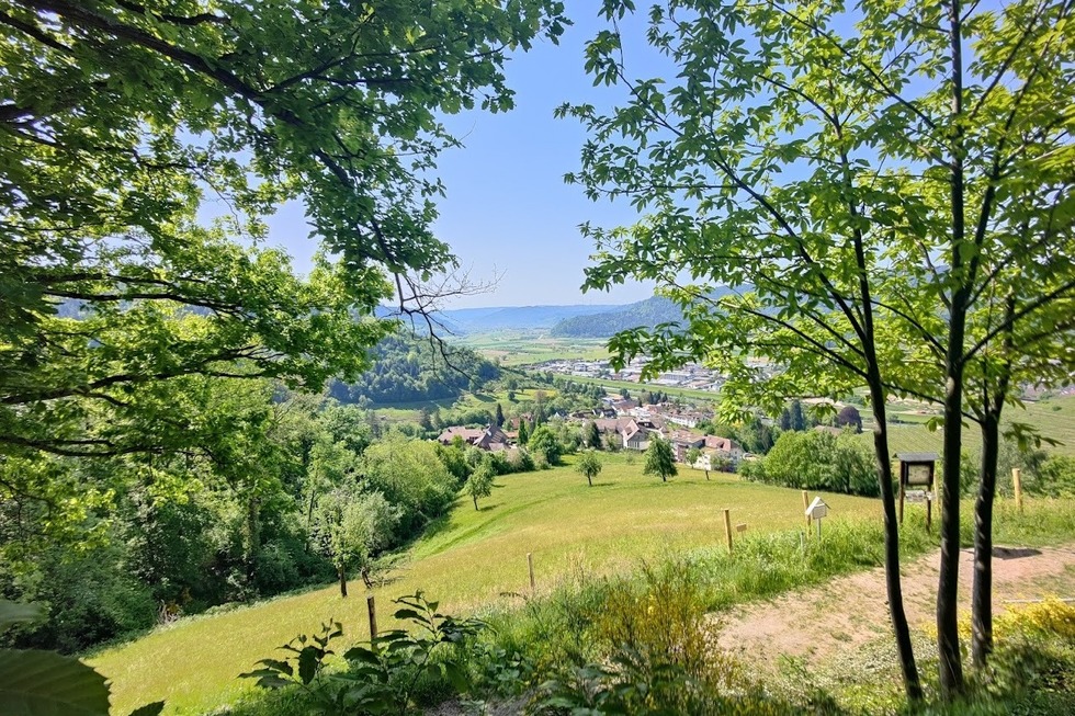 Sagenrundweg Bergle, Gengenbach - Gengenbach