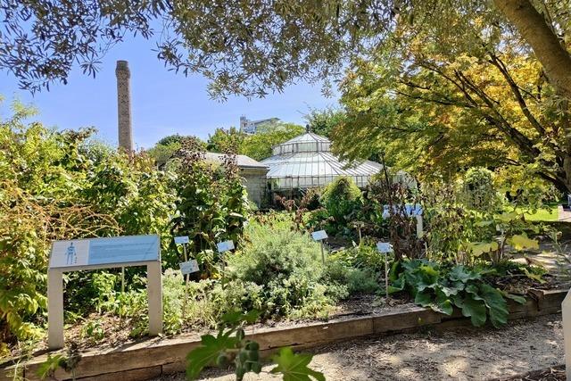Botanischer Garten der Universtitt