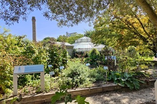 Botanischer Garten der Universtitt