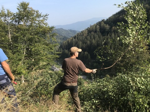 Landschaftspflegetag in Freiburg Kappel - Freiburg - 20.09.2025 09:30