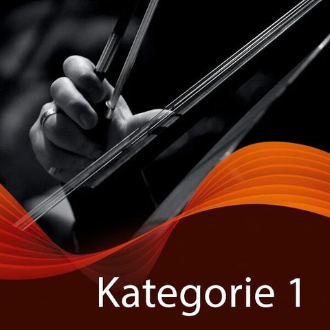 10er-Vorteils-Paket - Kategorie 1 - 10 Konzerte - Erlangen - 22.09.2025 19:30