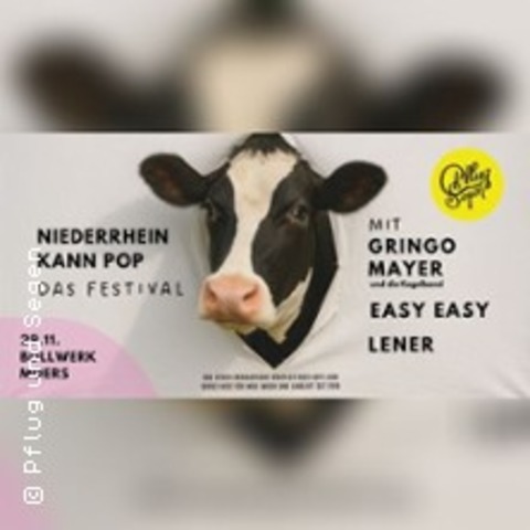 Gringo Mayer, Easy Easy, Lener & mehr - Moers - 29.11.2025 17:30
