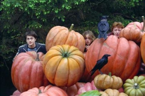 Harry Potter und der Gefangene von Askaban - Freiburg - 21.09.2025 14:00