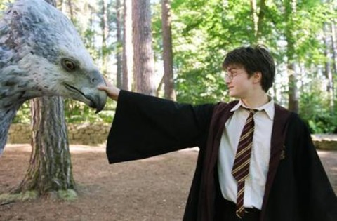 Harry Potter und der Gefangene von Askaban - Freiburg - 21.09.2025 14:00
