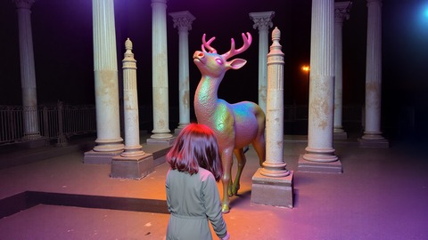 Ronja R�ubertochter - Coburg - 03.01.2026 11:00