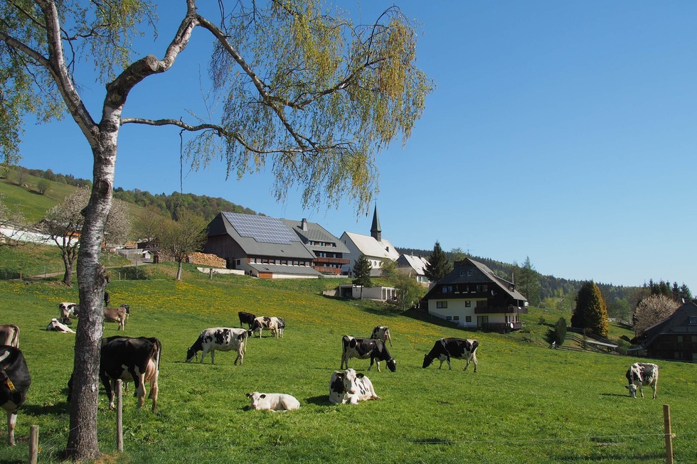 Kirchlehof (Hofsgrund) - Oberried