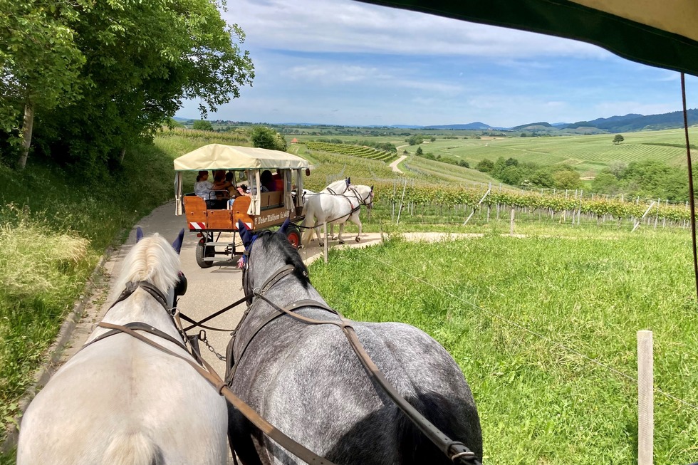 Kutschfahrten Weber - Mllheim im Markgrflerland
