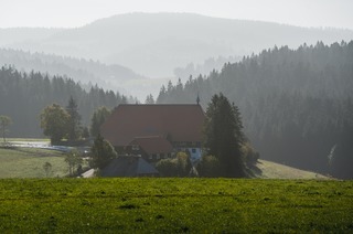 Unterfallengrundhof