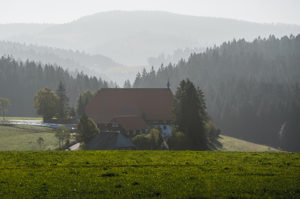 Unterfallengrundhof - Furtwangen