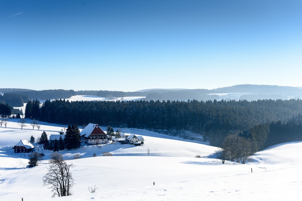 Unterfallengrundhof - Furtwangen