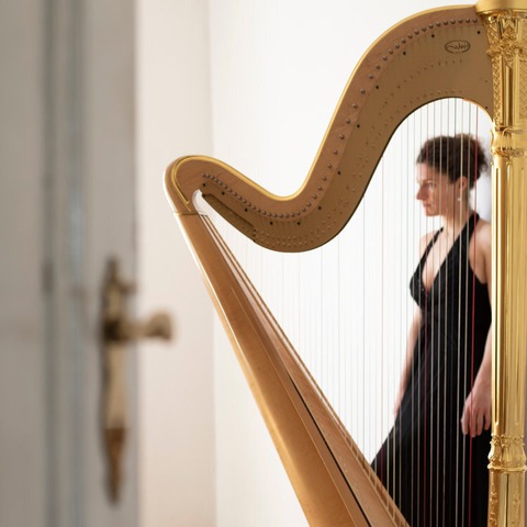 Die Orgel im Dialog mit der Harfe - Basel - 20.10.2025 19:30