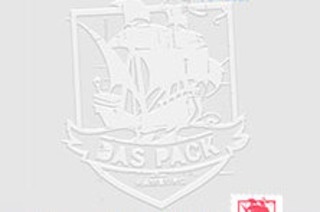 Das Pack - 20 Jahre Tour