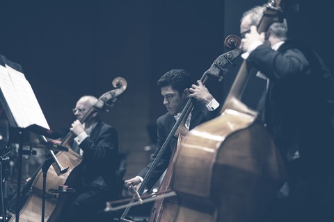 Mixed Zone 3 / Nesrine Belmokh - Ltg. GMD Jochem Hochstenbach - Trier - 30.04.2026 19:30