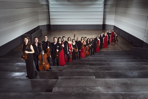 Daniel Hope | Zrcher Kammerorchester - Dresden - 12.12.2026 15:00
