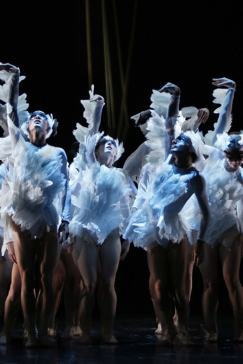 Schwanensee - Tanztheater - Trier - 25.05.2026 18:00