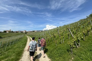 Ein neuer Trend: Escape-Spiele im Weinberg