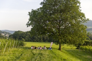 Weinproben werden mehr und mehr zum Event