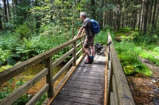 Klusenmoor