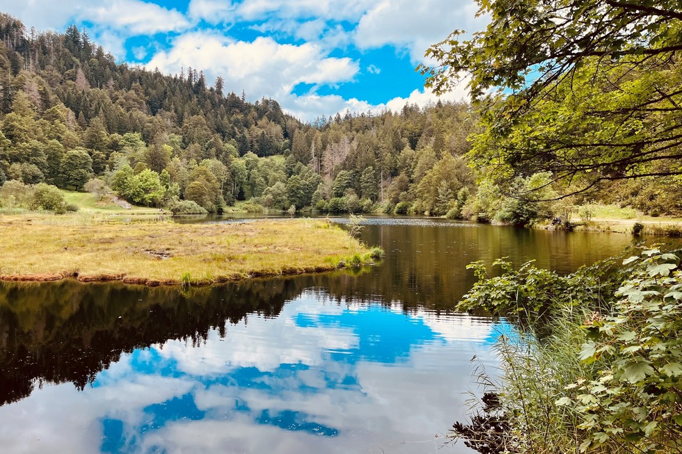 Nonnenmattweiher (Neuenweg) - Kleines Wiesental