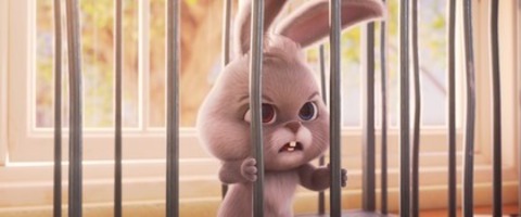 Der schlaue Hase Momo: Die groe Verfolgung - Villingen-Schwenningen - 28.09.2025 11:40