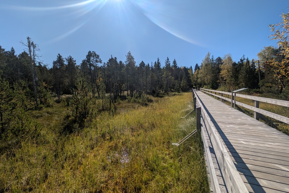 Hochmoor - Hinterzarten