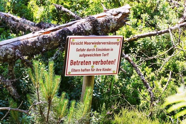 Horbacher Moor