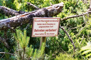 Horbacher Moor