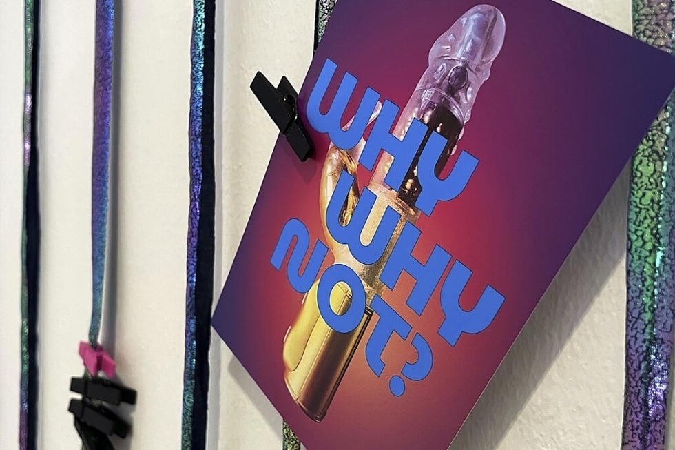 Die Ausstellung "Why not?" im Museum im Ritterhaus in Offenburg endet mit Musik und Erkenntnissen - Badische Zeitung TICKET