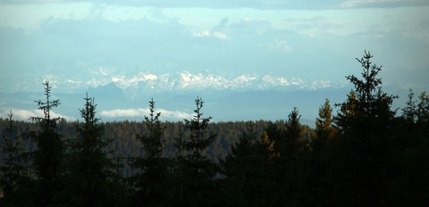 Heimatliebe Sdwesten - Dachsberg - 27.09.2025 19:00