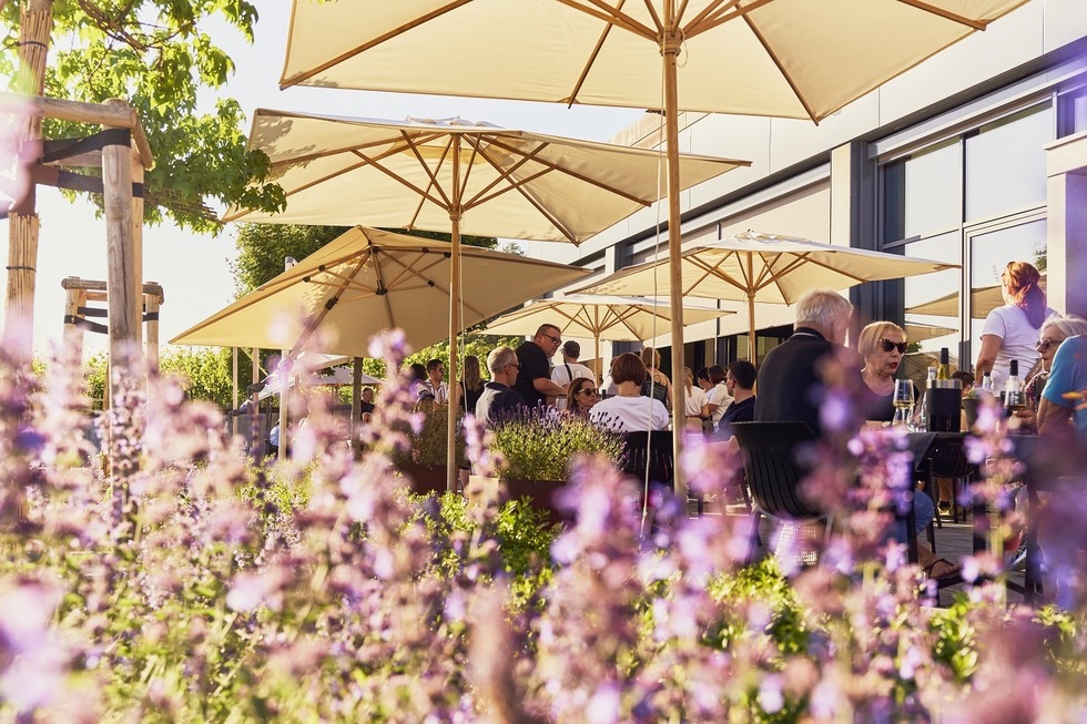 Abril Lounge (Bischoffingen) - Vogtsburg