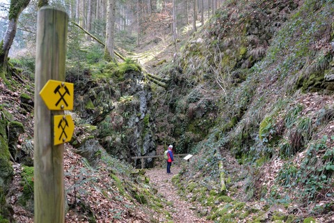 Bergbaulehrpfad bei Bollschweil St. Ulrich - Bollschweil - 05.10.2025 15:00
