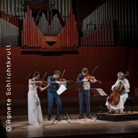 Konzert: NOVO Quartet aus Dnemark - Gaggenau - 16.11.2025 18:00