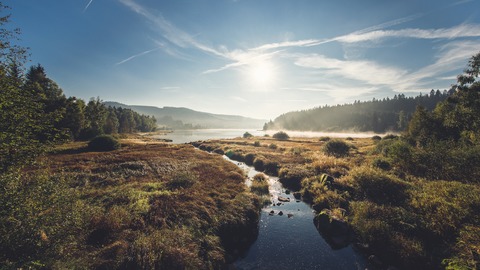 Faszinierende Fotoreise durch den Schwarzwald - Feldberg - 02.10.2025 10:00