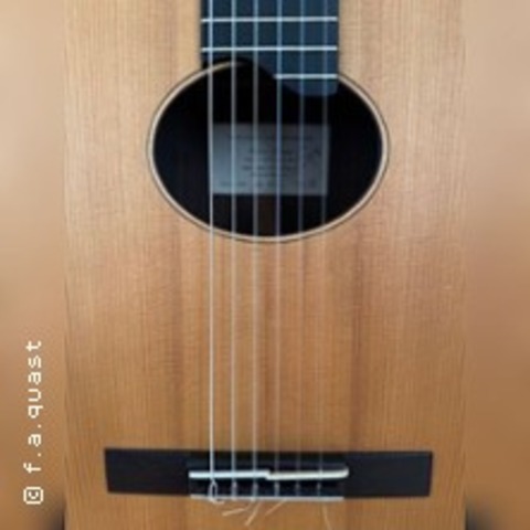 Die lange Nacht der Gitarren - Wernigerode - 17.01.2026 19:00