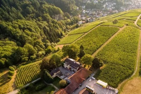 Wine Tasting - Baden-Baden - 09.10.2025 18:30