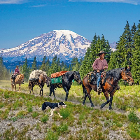 Die Abenteuerreiter - Long Way Home - LIVE - Reportage von G�nter Wamser & Sonja Endlweber - Neu-Ulm - 16.01.2026 20:00