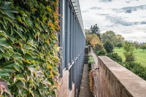 Architektur-Rundgang - Riehen - 15.11.2025 11:00