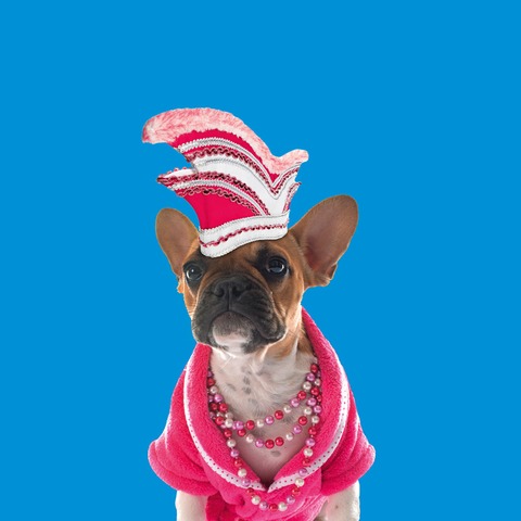 Die K�ln-Show - K�ln - 14.11.2026 15:00