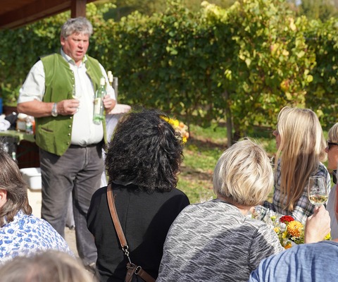 SummerWine im Bad Krozinger Rebberg - Bad Krozingen - 14.08.2026 18:00