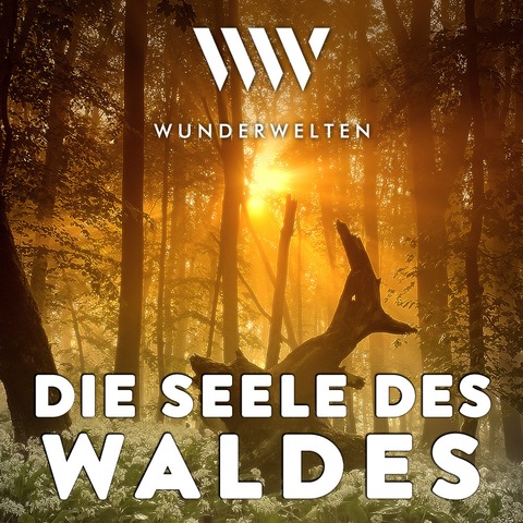 WunderWelten: Die Seele des Waldes - Heidelberg - 03.01.2026 17:00