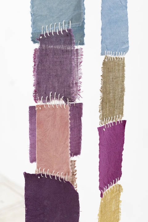 Vernissage Selina Gasser: Of wondering and wandering - Freiburg - 06.11.2025 18:00