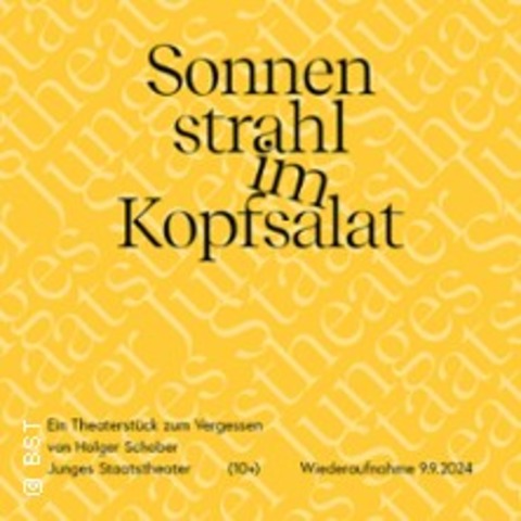Sonnenstrahl im Kopfsalat - Karlsruhe - 16.11.2025 15:00